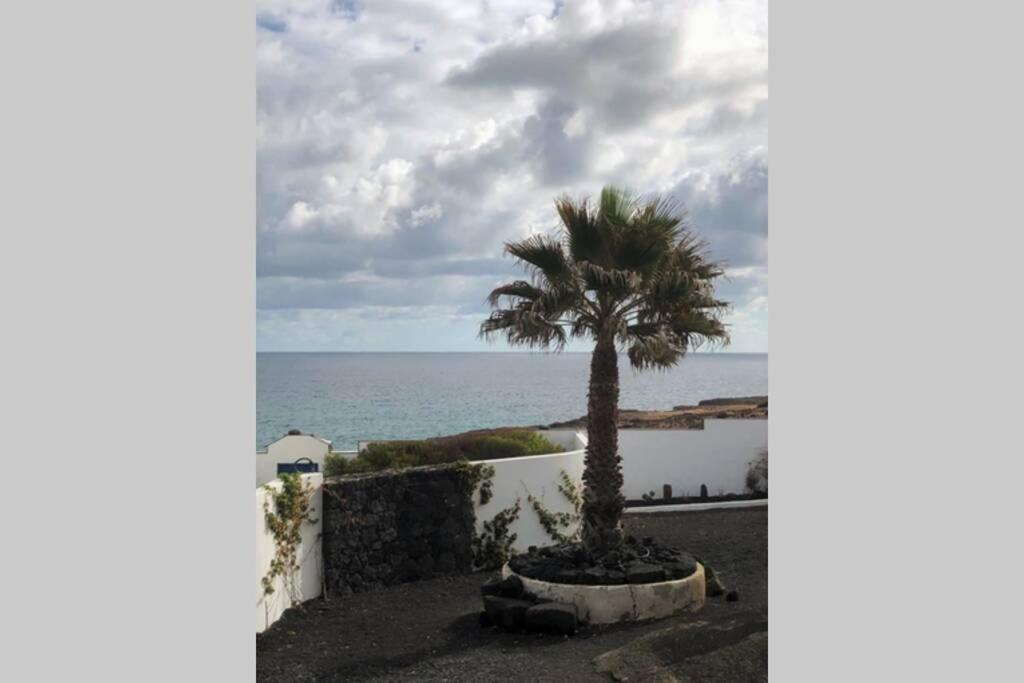Playa Marina Ocean View Eco Bungalow Arrieta  Exteriör bild